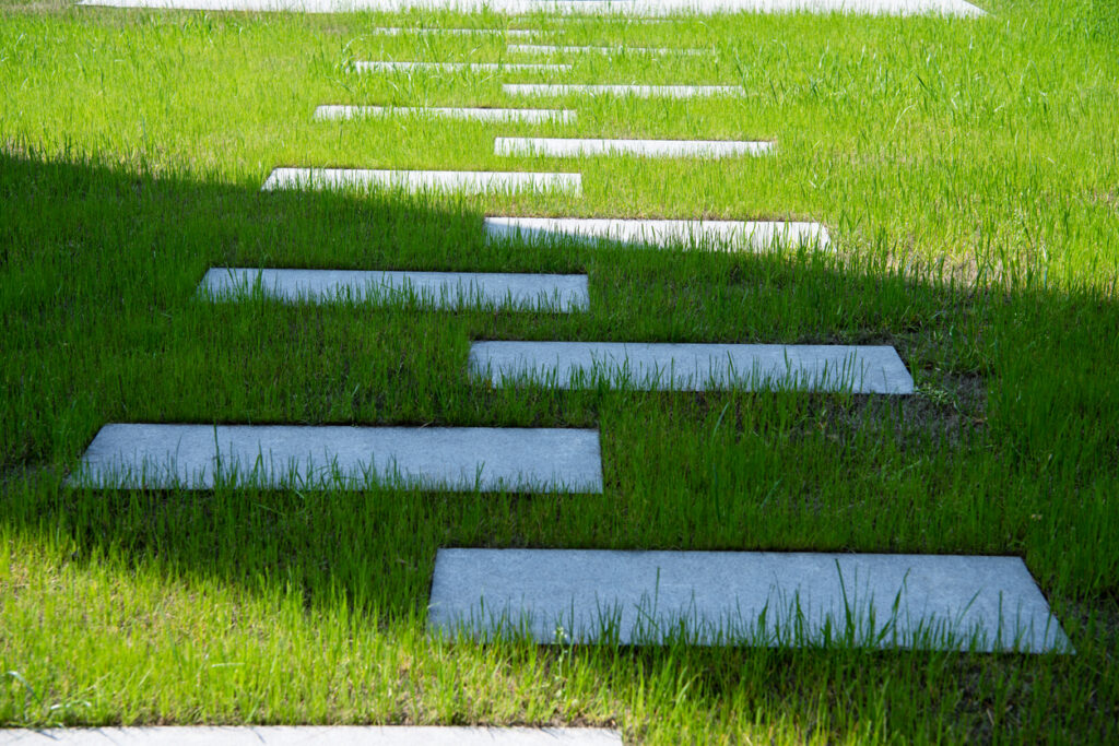 Stone walkway in grass